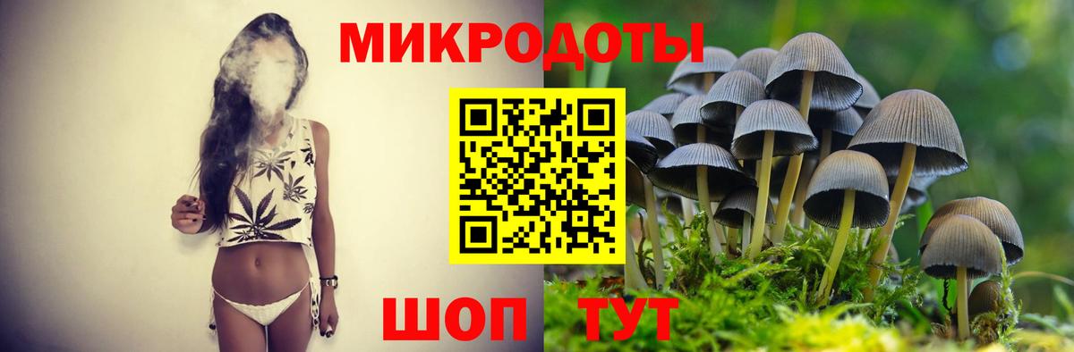 Богородск  Псилоцибиновые грибы прущие грибы  Вход с VPN  Галлюциногенные грибы Magic Shrooms 